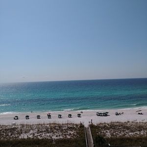 Meet your Posher, Bruce